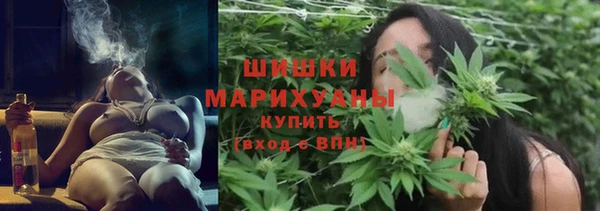 ECSTASY Шали