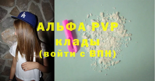 ECSTASY Шали