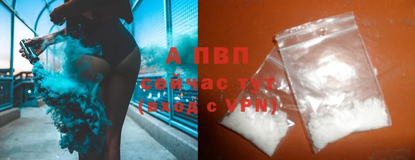 дживик Шадринск