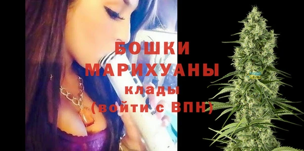 дживик Шадринск