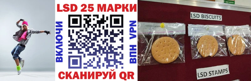 Купить где  Тогучин  Марки NBOMe 1500мкг 
