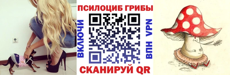 Псилоцибиновые грибы ЛСД  Купить где  Тогучин 
